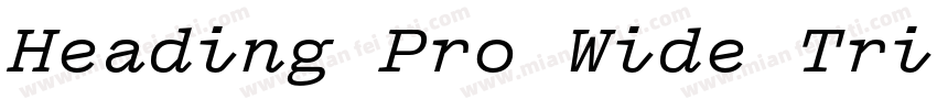 Heading Pro Wide Tri字体转换